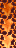 Infernal Fossil Ore