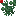 Mistletoe