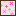 Petal Paper Wall