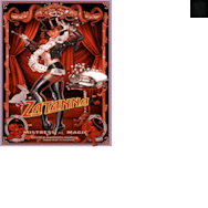 Zatanna Poster